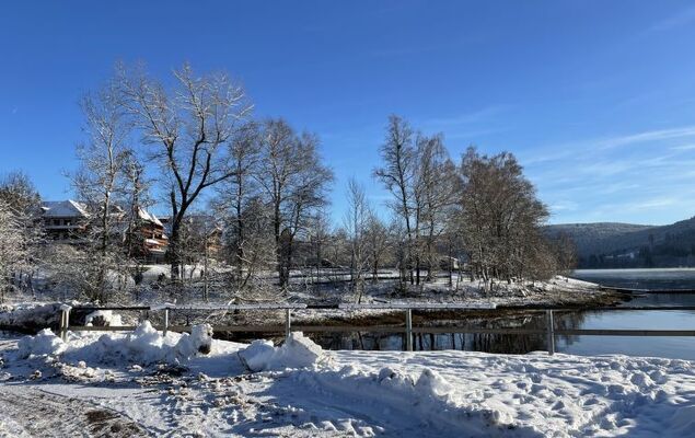 Habsmoosbach - Photo 52