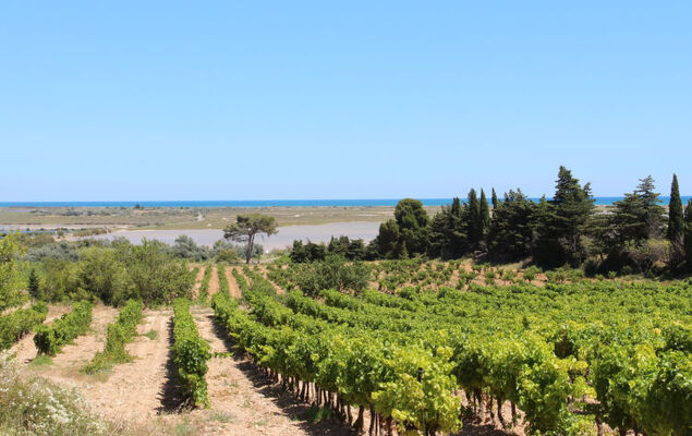 Les Terrasses de la Méditerranée - Photo 25