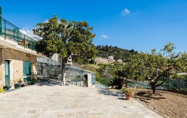 Casa Cycas - Photo 33