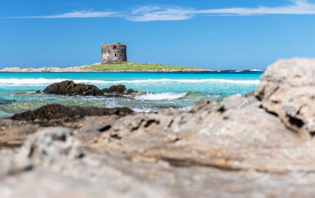 Sa Casitta - Photo 25