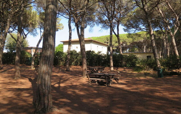 Chalet La Mazzanta - Photo 38