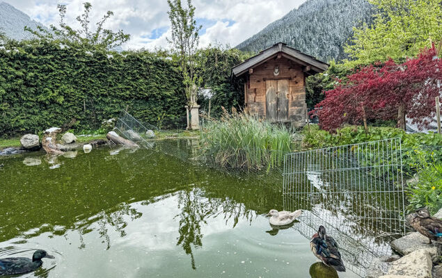 Helmreich - Photo 27