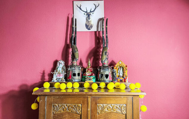 Regenbogen - Photo 18